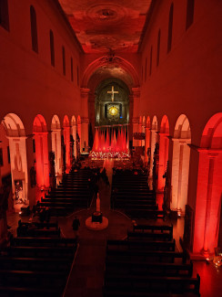 Würzburger Dum bei der Nacht der Lichter